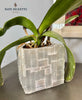 Selenite Mosaic Planter Pot 6" SAMPLE SALE