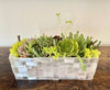Selenite Mosaic Rectangular Planter - Nate Ricketts Design