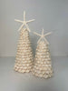 Spiral Seashell Tree