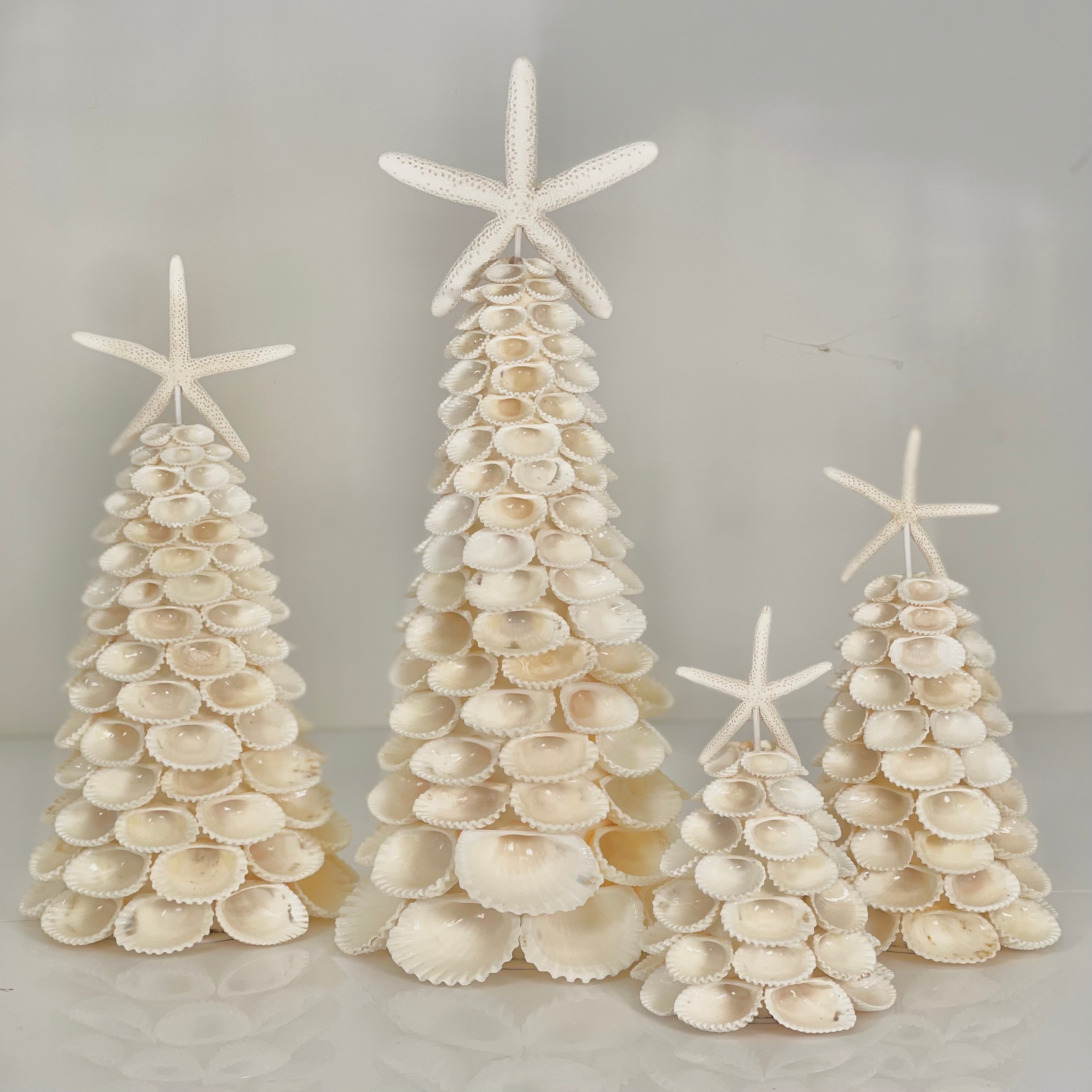 Snowy Clam Shell Tree with Seastar – Nate Ricketts Design