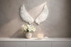 Selenite Crystal Angel Wings Crystal & Precious Minerals