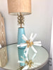 Selenite Novastar  - IMG_1419  2448 × 3264px