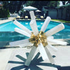 Selenite Novastar - IMG_6190  1116 × 1132px