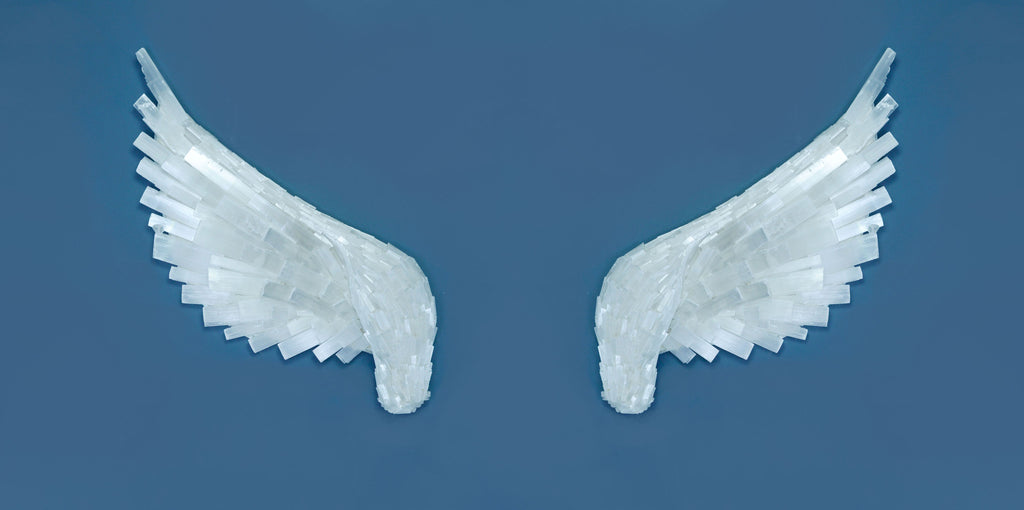 Selenite Crystal Angel Wings - Selenite_Crystal_Angel_Wing_3 2048 × 1020px