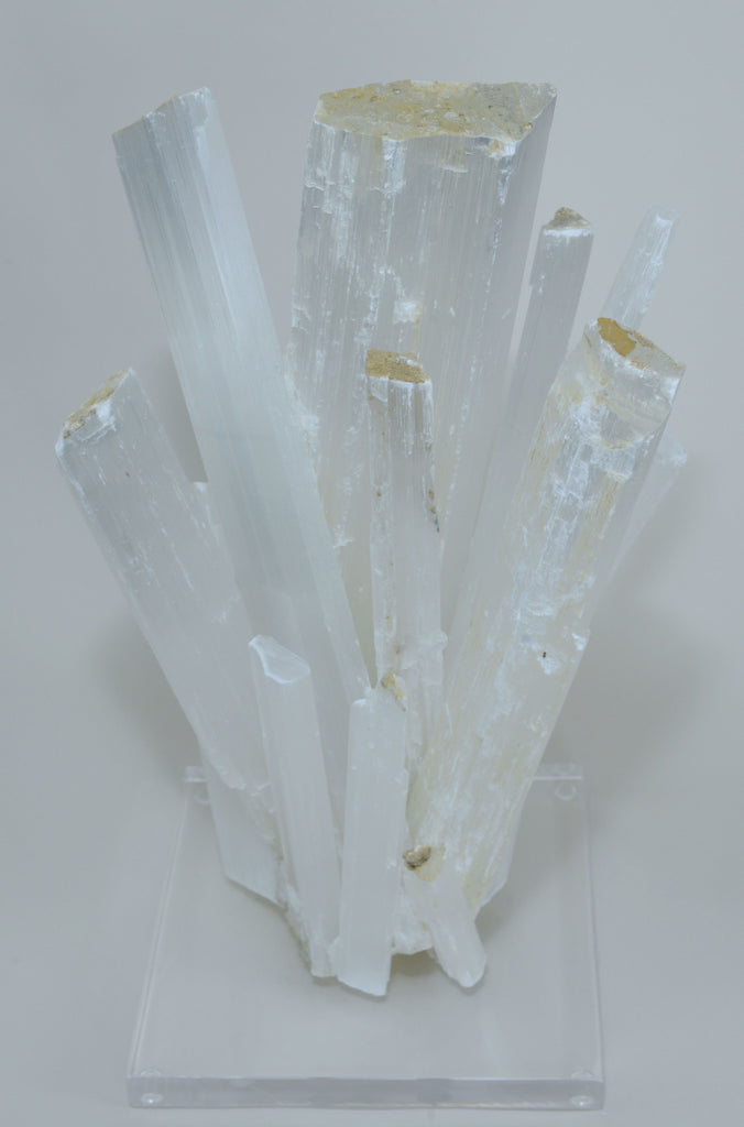 Selenite Crystal Burst on Acrylic Base – Nate Ricketts Design