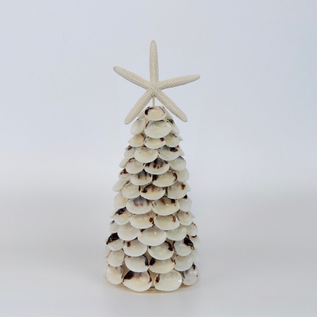 White Clam Seashell Tree with Seastar - White_Clam_Tree_Single 1365 × 1365px
